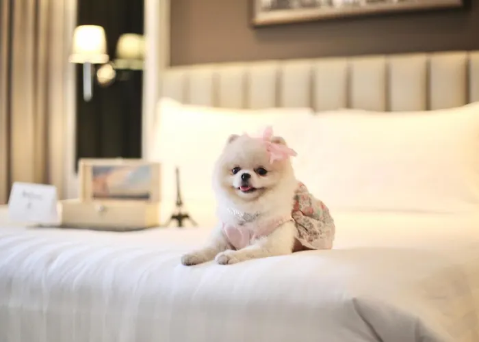 Quartier By Montraj Sukhumvit Hotel Bangkok